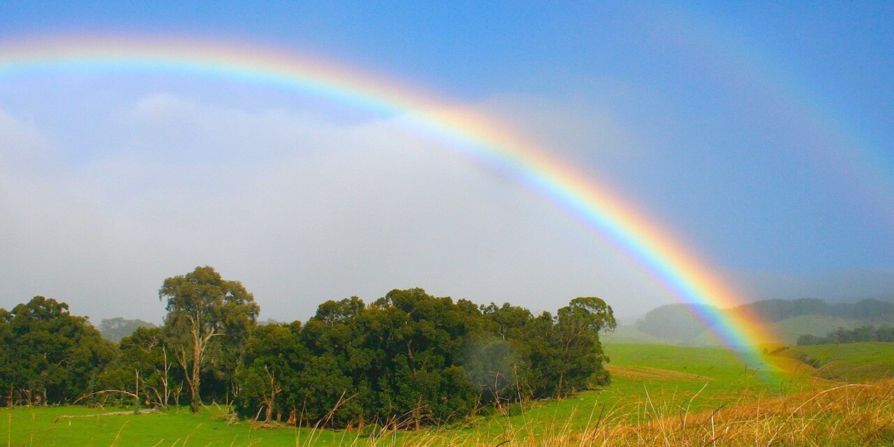 Pic of a rainbow over a field