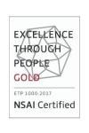 Laya Healthcare NSAI Excellence Through People Gold