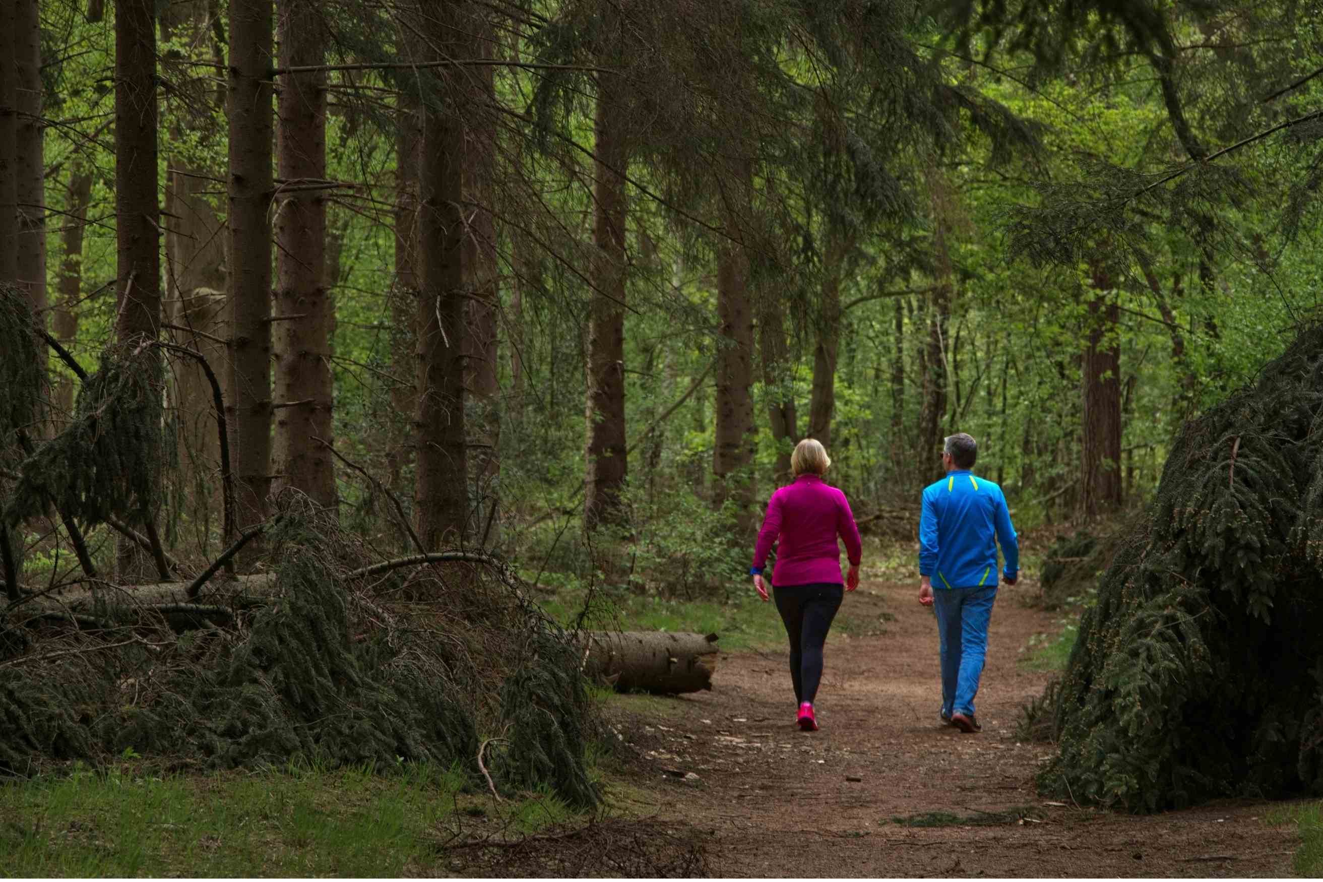 Two people walking side by side along a forest trail surrounded by tall trees and dense green foliage.